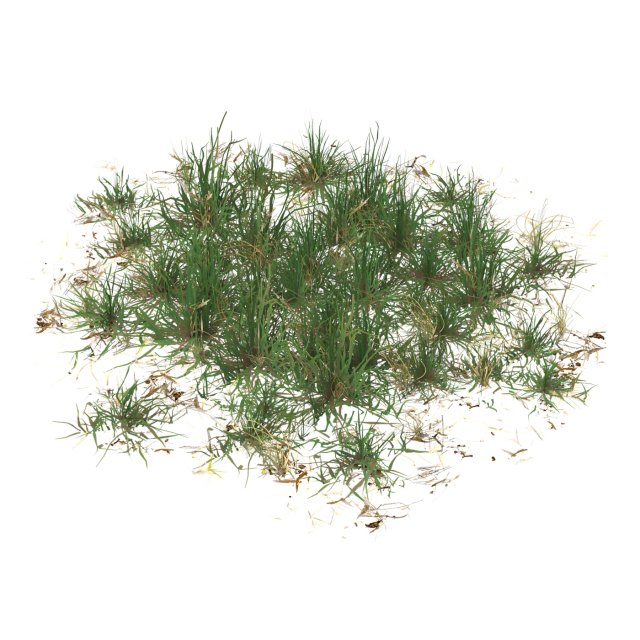 Realistic Game Ready Grass 08 Modello 3D .c4d .max .obj .3ds .fbx .stl .blend 