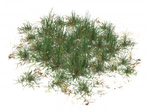 Realistic Game Ready Grass 08 3D Model