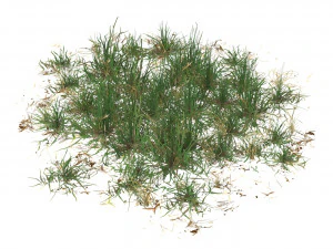 Grama pronta para jogo realista 08 Modelo 3D