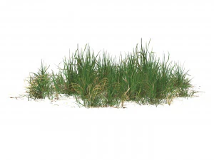 Realistic Game Ready Grass 08 3D Model