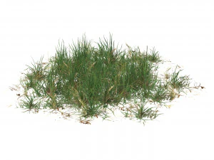 Realistic Game Ready Grass 08 3D Model