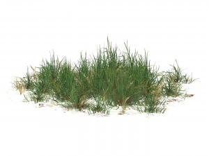 Realistic Game Ready Grass 08 3D Model