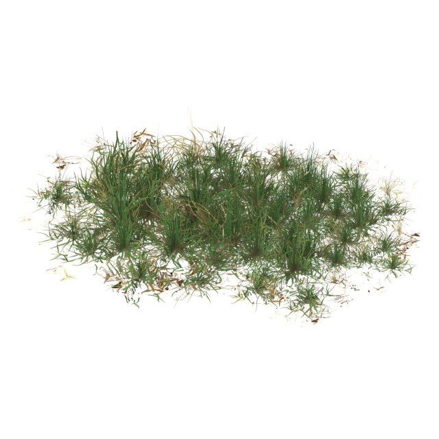 Realistic Game Ready Grass 09 3D-Modell .c4d .max .obj .3ds .fbx .stl .blend 