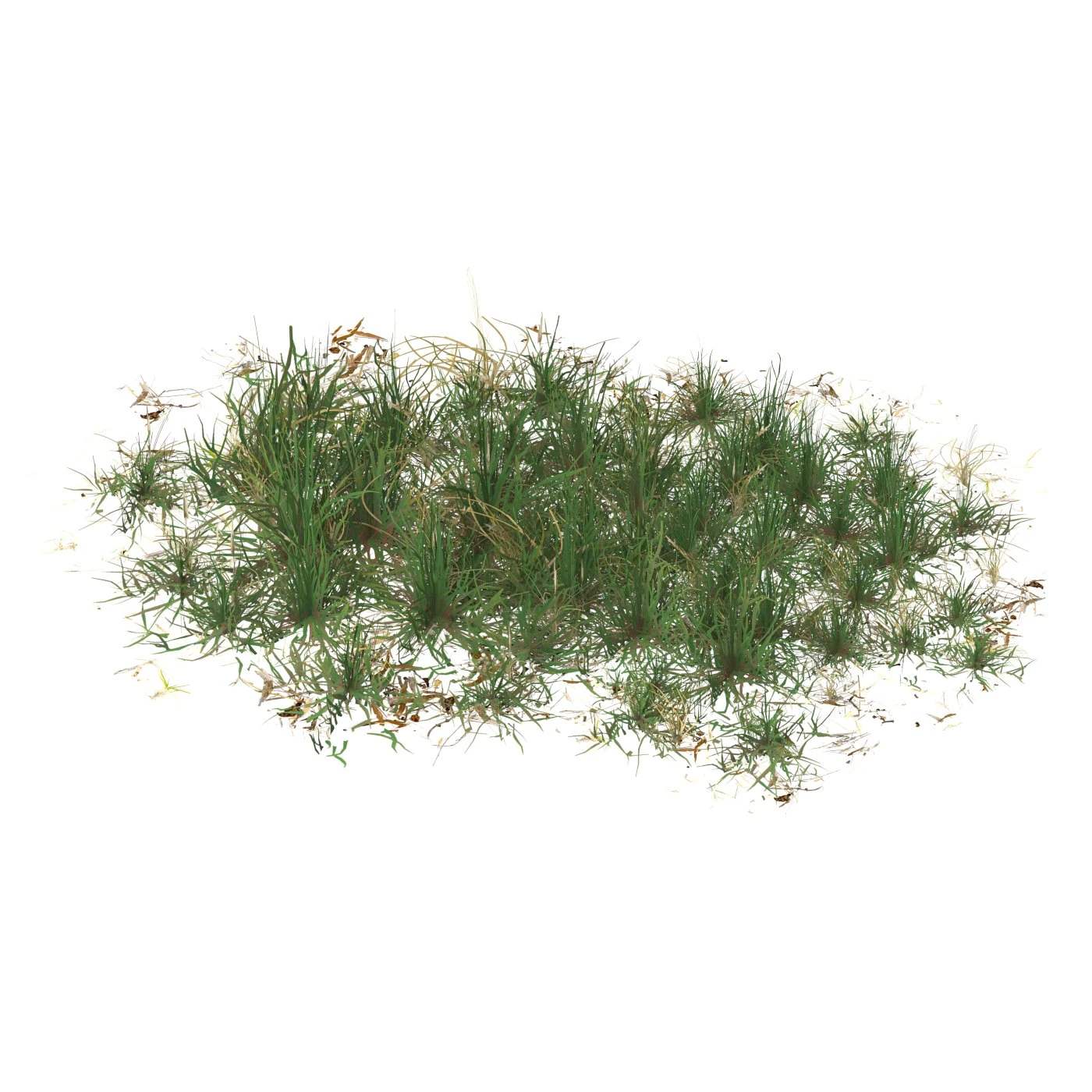 Realistic Game Ready Grass 09 3D Model .c4d .max .obj .3ds .fbx .stl .blend