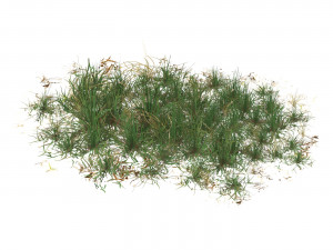 Realistic Game Ready Grass 09 3D 모델