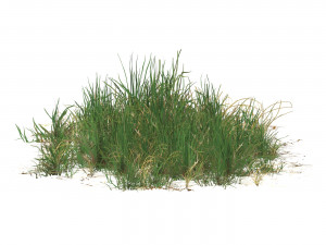 Realistic Game Ready Grass 09 3D-Modell