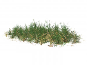 Realistic Game Ready Grass 09 3D-Modell