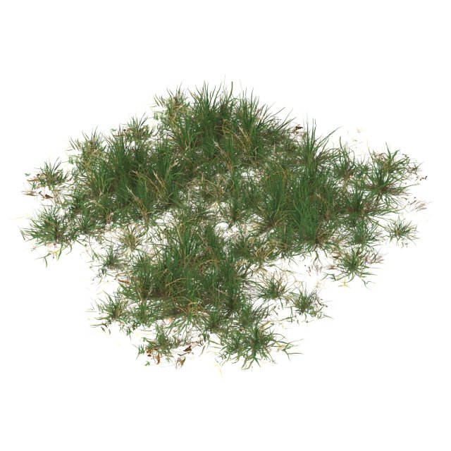Realistic Game Ready Grass 10 3D मॉडल .c4d .max .obj .3ds .fbx .stl .blend 