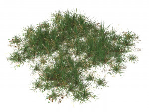 Realistic Game Ready Grass 10 3D मॉडल