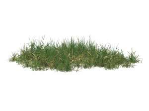 Realistic Game Ready Grass 10 3D Model