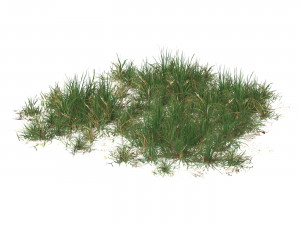 Realistic Game Ready Grass 10 3D मॉडल