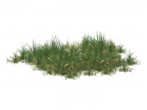 Realistic Game Ready Grass 10 3D Model