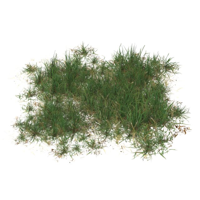 Realistic Game Ready Grass 11 Modello 3D .c4d .max .obj .3ds .fbx .stl .blend 