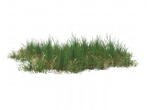 Realistic Game Ready Grass 11 Modello 3D