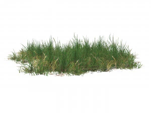 Realistic Game Ready Grass 11 3D Model