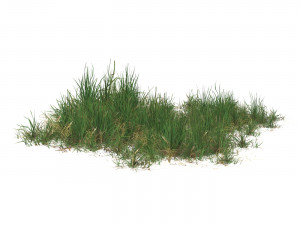 Realistic Game Ready Grass 11 Modello 3D