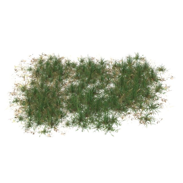 Realistic Game Ready Grass 12 Model 3D .c4d .max .obj .3ds .fbx .stl .blend 