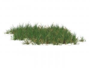 Realistic Game Ready Grass 12 Model 3D