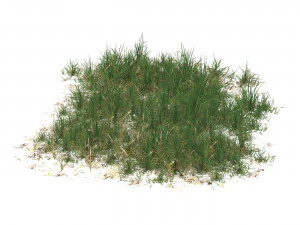 Realistic Game Ready Grass 12 3D Model