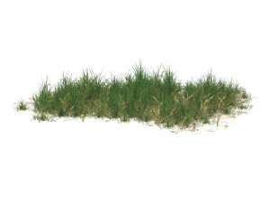 Realistic Game Ready Grass 12 Model 3D
