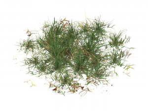 Realistic Game Ready Grass Collection 3D Model