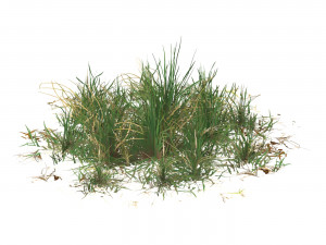 Realistic Game Ready Grass Collection 3D Model