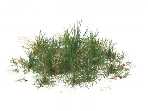 Realistic Game Ready Grass Collection 3D Model