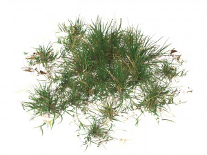 Realistic Game Ready Grass Collection 3D Model