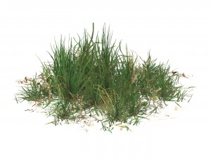 Realistic Game Ready Grass Collection 3D Model