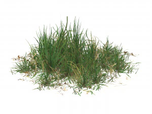 Realistic Game Ready Grass Collection 3D Model