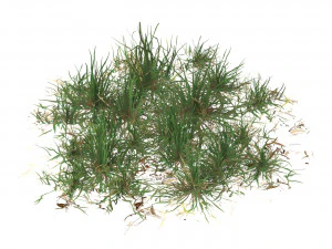 Realistic Game Ready Grass Collection 3D Model