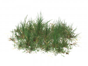 Realistic Game Ready Grass Collection 3D Model