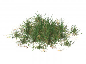 Realistic Game Ready Grass Collection 3D Model