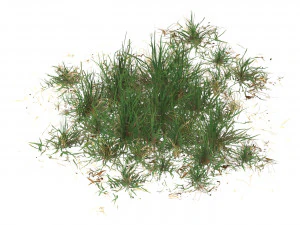 Realistic Game Ready Grass Collection 3D Model