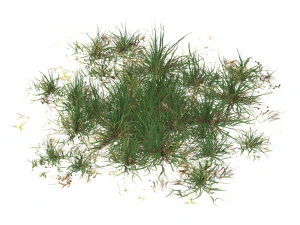Realistic Game Ready Grass Collection 3D Model