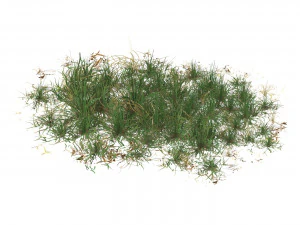 Realistic Game Ready Grass Collection 3D Model