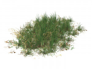 Realistic Game Ready Grass Collection 3D Model