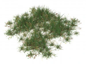 Realistic Game Ready Grass Collection 3D Model