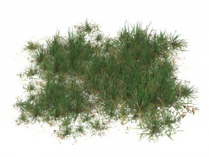 Realistic Game Ready Grass Collection 3D Model