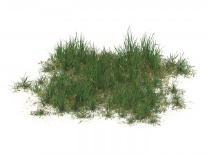 Realistic Game Ready Grass Collection 3D Model