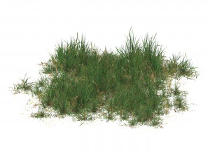 Realistic Game Ready Grass Collection 3D Model