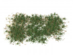 Realistic Game Ready Grass Collection 3D Model