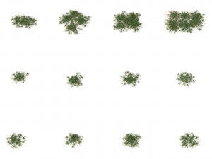 Realistic Game Ready Grass Collection 3D Model