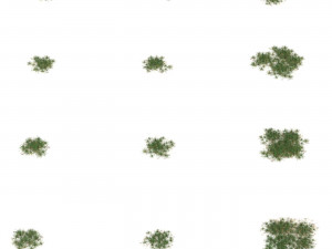 Realistic Game Ready Grass Collection 3D Model