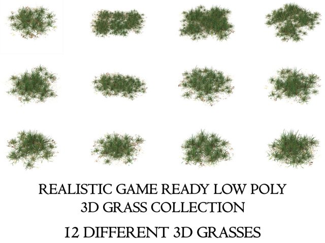 Realistic Game Ready Grass Collection 3D Model .c4d .max .obj .3ds .fbx .stl .blend 