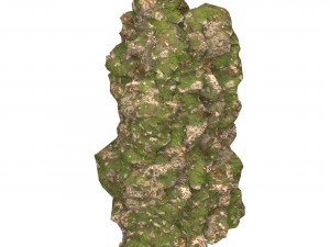 Realistic Mountain Cliff 02 3D Model