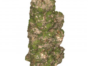 Realistic Mountain Cliff 03 3D Model