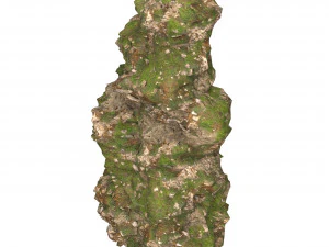 Realistic Mountain Cliff 05 3D Model