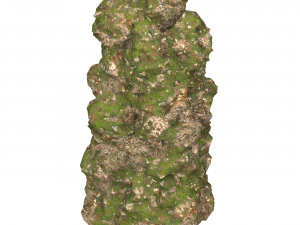 Realistic Mountain Cliff 06 3D Model