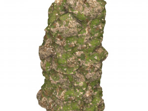 Realistic Mountain Cliff 06 3D Model
